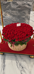 250 Premium Red Roses