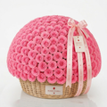5 sizes Pink Crimson Basket