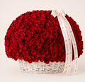 500 Red Roses Basket