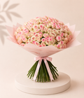 Light Pink Petals
