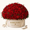 Rouge Dome Box